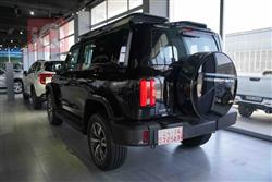 GWM تانك 300